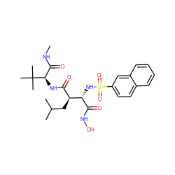 CNC(=O)[C@@H](NC(=O)[C@H](CC(C)C)[C@H](NS(=O)(=O)c1ccc2ccccc2c1)C(=O)NO)C(C)(C)C ZINC000013802359