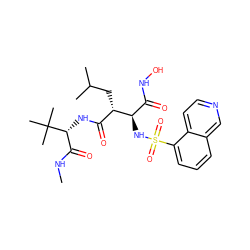 CNC(=O)[C@@H](NC(=O)[C@H](CC(C)C)[C@H](NS(=O)(=O)c1cccc2cnccc12)C(=O)NO)C(C)(C)C ZINC000013802364