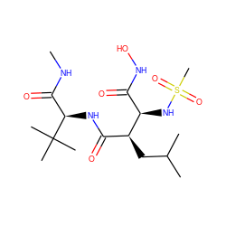 CNC(=O)[C@@H](NC(=O)[C@H](CC(C)C)[C@H](NS(C)(=O)=O)C(=O)NO)C(C)(C)C ZINC000013802372