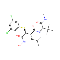 CNC(=O)[C@@H](NC(=O)[C@H](CC(C)C)[C@H](Sc1cc(Cl)cc(Cl)c1)C(=O)NO)C(C)(C)C ZINC000013802336