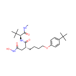 CNC(=O)[C@@H](NC(=O)[C@H](CCCCOc1ccc(C(C)(C)C)cc1)CC(=O)NO)C(C)(C)C ZINC000013741994