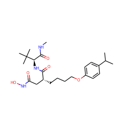 CNC(=O)[C@@H](NC(=O)[C@H](CCCCOc1ccc(C(C)C)cc1)CC(=O)NO)C(C)(C)C ZINC000013741993