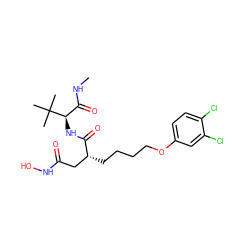 CNC(=O)[C@@H](NC(=O)[C@H](CCCCOc1ccc(Cl)c(Cl)c1)CC(=O)NO)C(C)(C)C ZINC000013742001