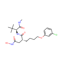 CNC(=O)[C@@H](NC(=O)[C@H](CCCCOc1cccc(Cl)c1)CC(=O)NO)C(C)(C)C ZINC000013741999