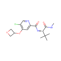 CNC(=O)[C@@H](NC(=O)c1cc(OC2COC2)c(Cl)cn1)C(C)(C)C ZINC000149214512