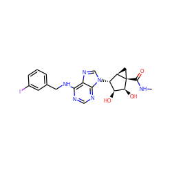 CNC(=O)[C@]12C[C@@H]1[C@@H](n1cnc3c(NCc4cccc(I)c4)ncnc31)[C@H](O)[C@@H]2O ZINC000101286893