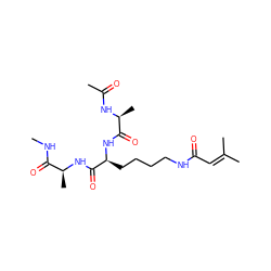 CNC(=O)[C@H](C)NC(=O)[C@H](CCCCNC(=O)C=C(C)C)NC(=O)[C@H](C)NC(C)=O ZINC000064274826