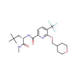 CNC(=O)[C@H](CC(C)(C)C)NC(=O)c1ccc(C(F)(F)F)c(OCC2CCOCC2)n1 ZINC000207736094