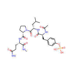CNC(=O)[C@H](CCC(N)=O)NC(=O)[C@@H]1CCCN1C(=O)[C@H](CC(C)C)NC(=O)[C@H](Cc1ccc(OP(=O)(O)O)cc1)NC(C)=O ZINC000028525543