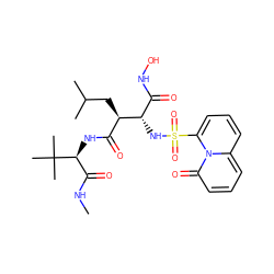 CNC(=O)[C@H](NC(=O)[C@@H](CC(C)C)[C@@H](NS(=O)(=O)c1cccc2cccc(=O)n12)C(=O)NO)C(C)(C)C ZINC000026661557