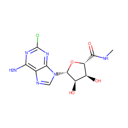 CNC(=O)[C@H]1O[C@@H](n2cnc3c(N)nc(Cl)nc32)[C@H](O)[C@@H]1O ZINC000096900825