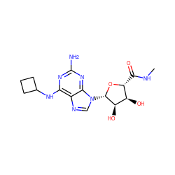 CNC(=O)[C@H]1O[C@@H](n2cnc3c(NC4CCC4)nc(N)nc32)[C@H](O)[C@@H]1O ZINC000103299028