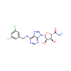 CNC(=O)[C@H]1O[C@@H](n2cnc3c(NCc4cc(Cl)cc(Cl)c4)ncnc32)[C@H](O)[C@@H]1O ZINC000034800766