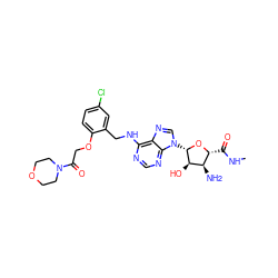 CNC(=O)[C@H]1O[C@@H](n2cnc3c(NCc4cc(Cl)ccc4OCC(=O)N4CCOCC4)ncnc32)[C@H](O)[C@@H]1N ZINC000096314039