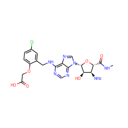 CNC(=O)[C@H]1O[C@@H](n2cnc3c(NCc4cc(Cl)ccc4OCC(=O)O)ncnc32)[C@H](O)[C@@H]1N ZINC000034800724