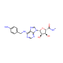 CNC(=O)[C@H]1O[C@@H](n2cnc3c(NCc4ccc(N)cc4)ncnc32)[C@H](O)[C@@H]1O ZINC000004475069