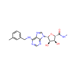 CNC(=O)[C@H]1O[C@@H](n2cnc3c(NCc4cccc(C)c4)ncnc32)[C@H](O)[C@@H]1O ZINC000012405564