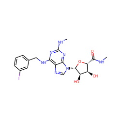 CNC(=O)[C@H]1O[C@@H](n2cnc3c(NCc4cccc(I)c4)nc(NC)nc32)[C@H](O)[C@@H]1O ZINC000012405717