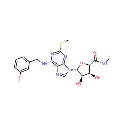 CNC(=O)[C@H]1O[C@@H](n2cnc3c(NCc4cccc(I)c4)nc(SC)nc32)[C@H](O)[C@@H]1O ZINC000012405718