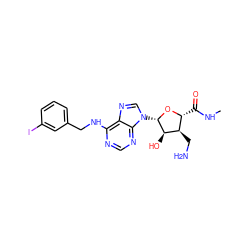 CNC(=O)[C@H]1O[C@@H](n2cnc3c(NCc4cccc(I)c4)ncnc32)[C@H](O)[C@@H]1CN ZINC000034800761