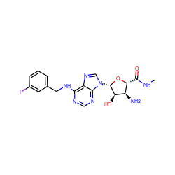 CNC(=O)[C@H]1O[C@@H](n2cnc3c(NCc4cccc(I)c4)ncnc32)[C@H](O)[C@@H]1N ZINC000013493056