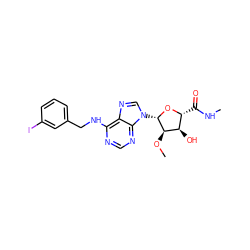 CNC(=O)[C@H]1O[C@@H](n2cnc3c(NCc4cccc(I)c4)ncnc32)[C@H](OC)[C@@H]1O ZINC000028865007