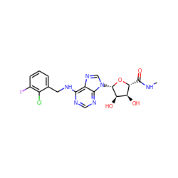 CNC(=O)[C@H]1O[C@@H](n2cnc3c(NCc4cccc(I)c4Cl)ncnc32)[C@H](O)[C@@H]1O ZINC000049771489