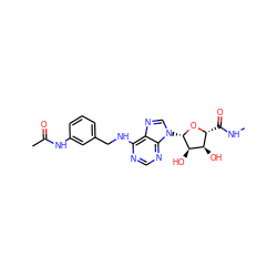 CNC(=O)[C@H]1O[C@@H](n2cnc3c(NCc4cccc(NC(C)=O)c4)ncnc32)[C@H](O)[C@@H]1O ZINC000012405563