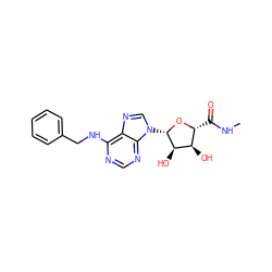 CNC(=O)[C@H]1O[C@@H](n2cnc3c(NCc4ccccc4)ncnc32)[C@H](O)[C@@H]1O ZINC000005605290