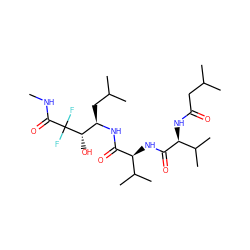 CNC(=O)C(F)(F)[C@@H](O)[C@@H](CC(C)C)NC(=O)[C@@H](NC(=O)[C@@H](NC(=O)CC(C)C)C(C)C)C(C)C ZINC000026500116
