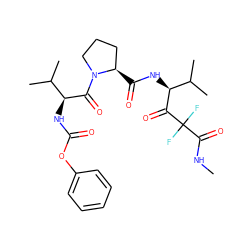 CNC(=O)C(F)(F)C(=O)[C@@H](NC(=O)[C@@H]1CCCN1C(=O)[C@@H](NC(=O)Oc1ccccc1)C(C)C)C(C)C ZINC000013516130