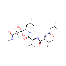 CNC(=O)C(F)(F)C(O)(O)[C@@H](CC(C)C)NC(=O)[C@@H](NC(=O)[C@@H](NC(=O)CC(C)C)C(C)C)C(C)C ZINC000026498097