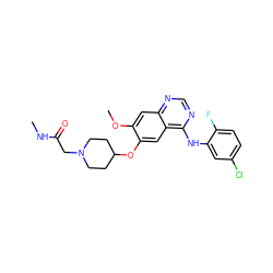 CNC(=O)CN1CCC(Oc2cc3c(Nc4cc(Cl)ccc4F)ncnc3cc2OC)CC1 ZINC000096921647