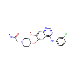 CNC(=O)CN1CCC(Oc2cc3c(Nc4cccc(Cl)c4)ncnc3cc2OC)CC1 ZINC000096921646