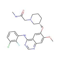 CNC(=O)CN1CCC[C@H](Oc2cc3c(Nc4cccc(Cl)c4F)ncnc3cc2OC)C1 ZINC000096911234