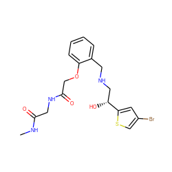CNC(=O)CNC(=O)COc1ccccc1CNC[C@@H](O)c1cc(Br)cs1 ZINC000014966950