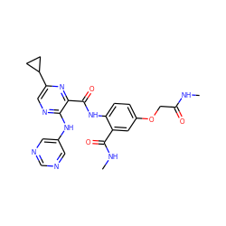 CNC(=O)COc1ccc(NC(=O)c2nc(C3CC3)cnc2Nc2cncnc2)c(C(=O)NC)c1 ZINC000169701931