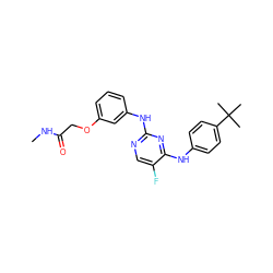 CNC(=O)COc1cccc(Nc2ncc(F)c(Nc3ccc(C(C)(C)C)cc3)n2)c1 ZINC000299857402