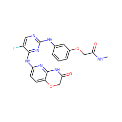 CNC(=O)COc1cccc(Nc2ncc(F)c(Nc3ccc4c(n3)NC(=O)CO4)n2)c1 ZINC000035819784