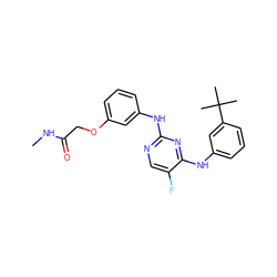 CNC(=O)COc1cccc(Nc2ncc(F)c(Nc3cccc(C(C)(C)C)c3)n2)c1 ZINC000038268850