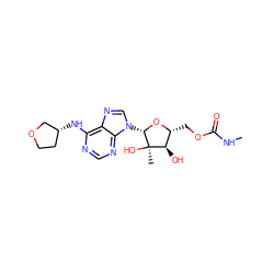 CNC(=O)OC[C@H]1O[C@@H](n2cnc3c(N[C@@H]4CCOC4)ncnc32)[C@](C)(O)[C@@H]1O ZINC000029040305