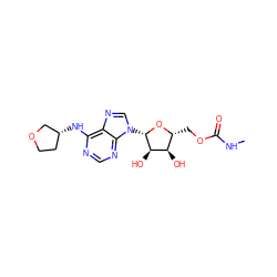 CNC(=O)OC[C@H]1O[C@@H](n2cnc3c(N[C@@H]4CCOC4)ncnc32)[C@H](O)[C@@H]1O ZINC000003965126