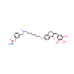 CNC(=O)Oc1cccc(CN(C)CCCCCCCOc2ccc3c(c2)CC/C(=C/c2cc(O)c(O)c(O)c2)C3=O)c1 ZINC000049777038