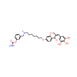 CNC(=O)Oc1cccc(CN(C)CCCCCCCOc2ccc3c(c2)OC/C(=C/c2cc(O)c(O)c(O)c2)C3=O)c1 ZINC000049777004