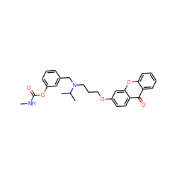 CNC(=O)Oc1cccc(CN(CCCOc2ccc3c(=O)c4ccccc4oc3c2)C(C)C)c1 ZINC000013781339