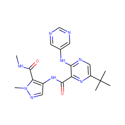 CNC(=O)c1c(NC(=O)c2nc(C(C)(C)C)cnc2Nc2cncnc2)cnn1C ZINC000169701774