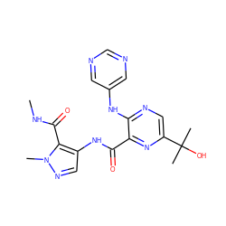 CNC(=O)c1c(NC(=O)c2nc(C(C)(C)O)cnc2Nc2cncnc2)cnn1C ZINC000148686112