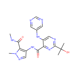 CNC(=O)c1c(NC(=O)c2nc(C(C)(C)O)ncc2Nc2cncnc2)cnn1C ZINC000169701949