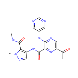 CNC(=O)c1c(NC(=O)c2nc(C(C)=O)cnc2Nc2cncnc2)cnn1C ZINC000169701807