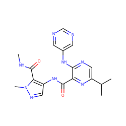 CNC(=O)c1c(NC(=O)c2nc(C(C)C)cnc2Nc2cncnc2)cnn1C ZINC000169701756